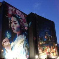 Dan Kitchener UK Fitzwilton 8